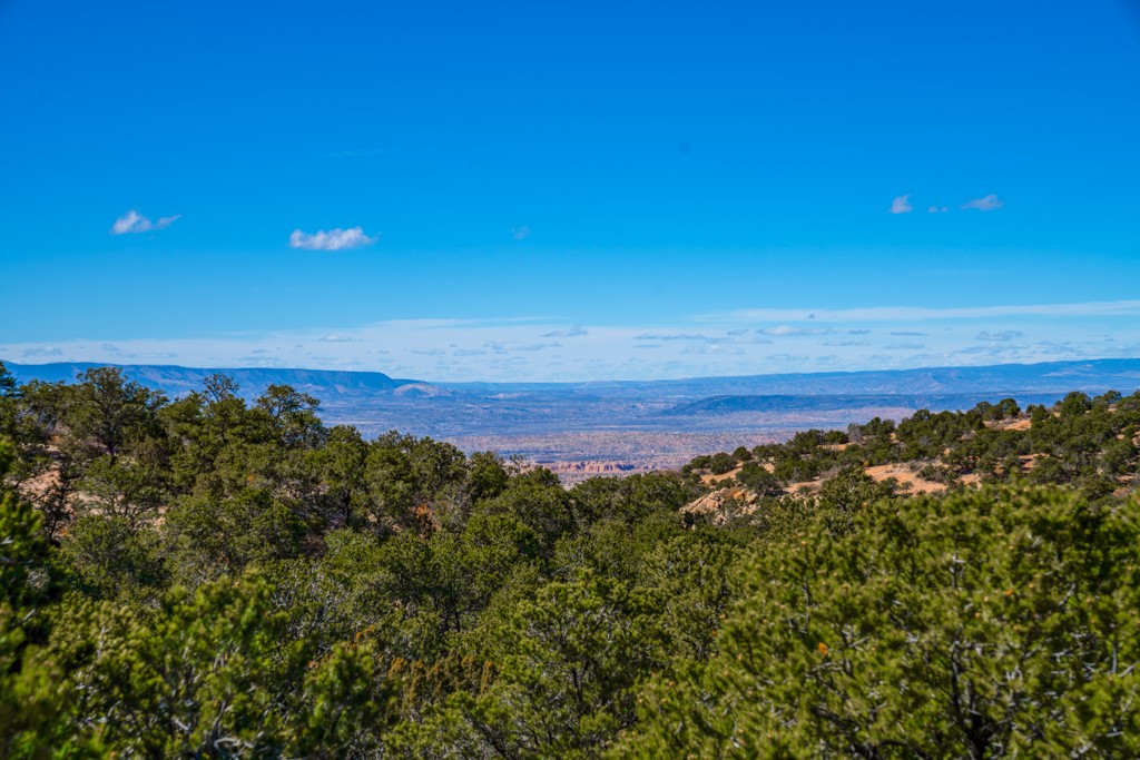 Wooded hillside overlooking a wide valley and distant mesas beneath a bright blue sky.