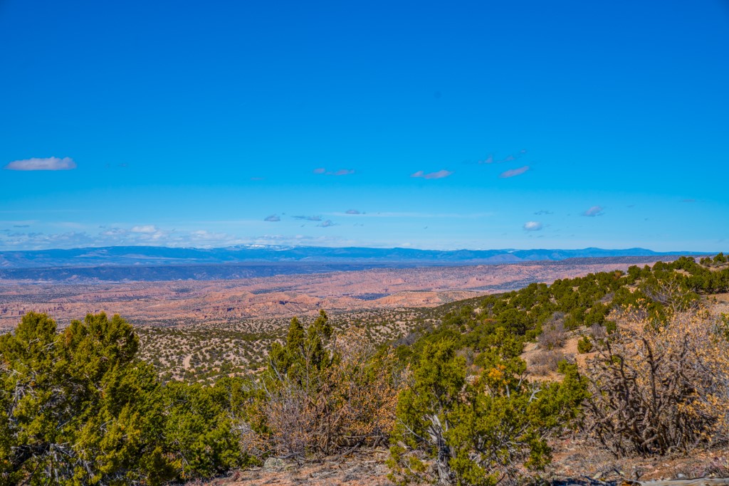 Undeveloped land with juniper trees overlooking a broad valley and distant mountain ranges.