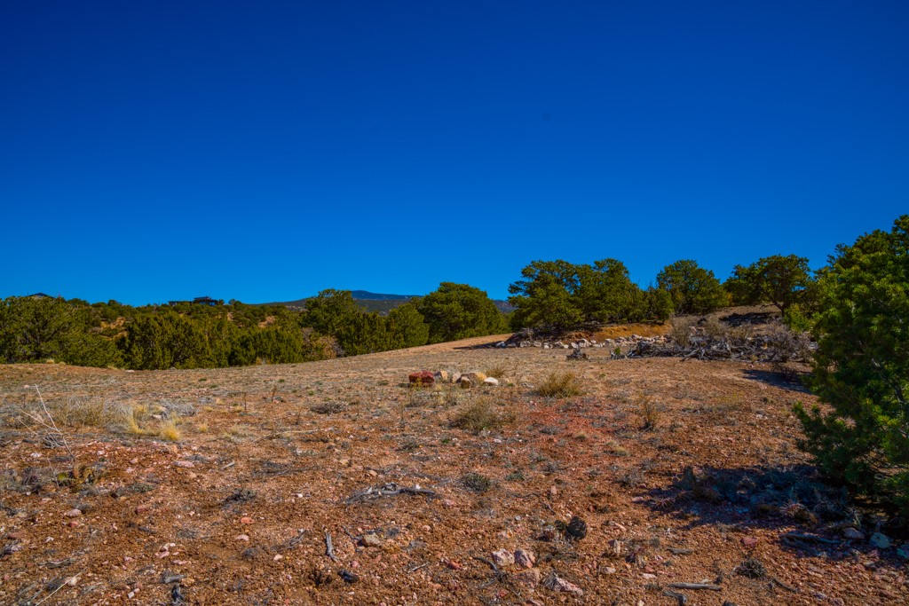 Vacant rocky land with scattered trees and a distant mountain ridge beneath a clear blue sky.