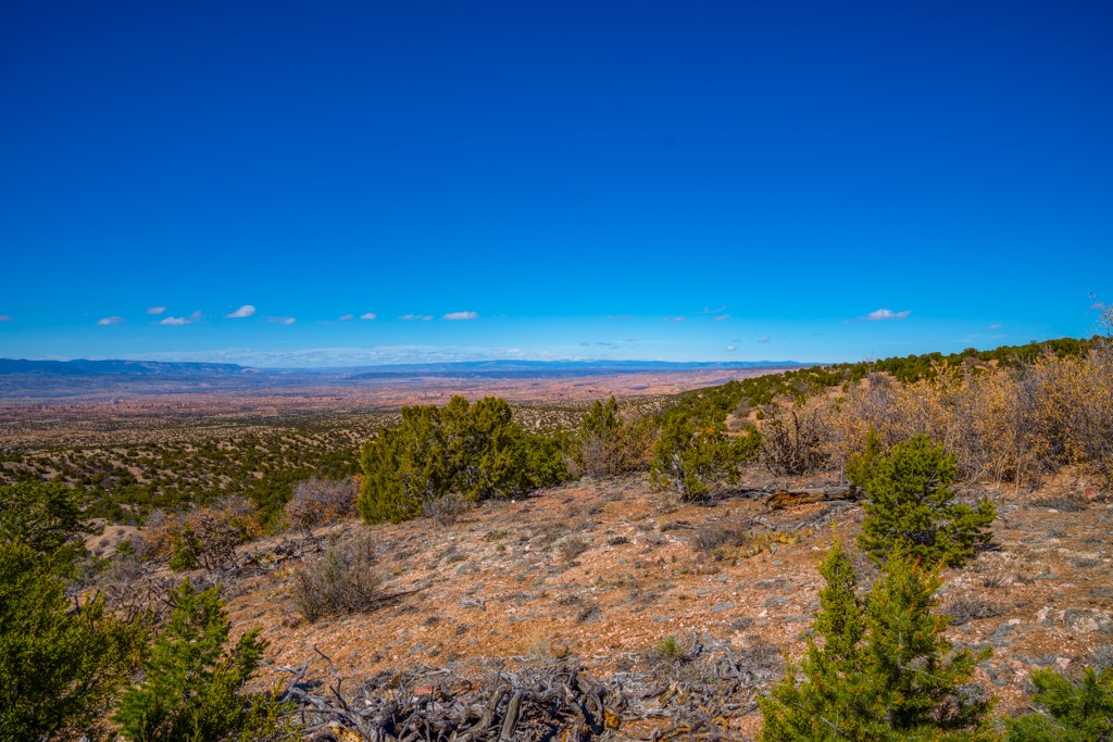 Rocky hillside lot with scattered evergreens overlooking a broad valley and distant mountains.