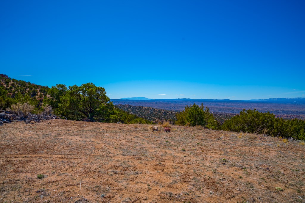 Undeveloped high-desert lot with scattered trees and distant mountain views.