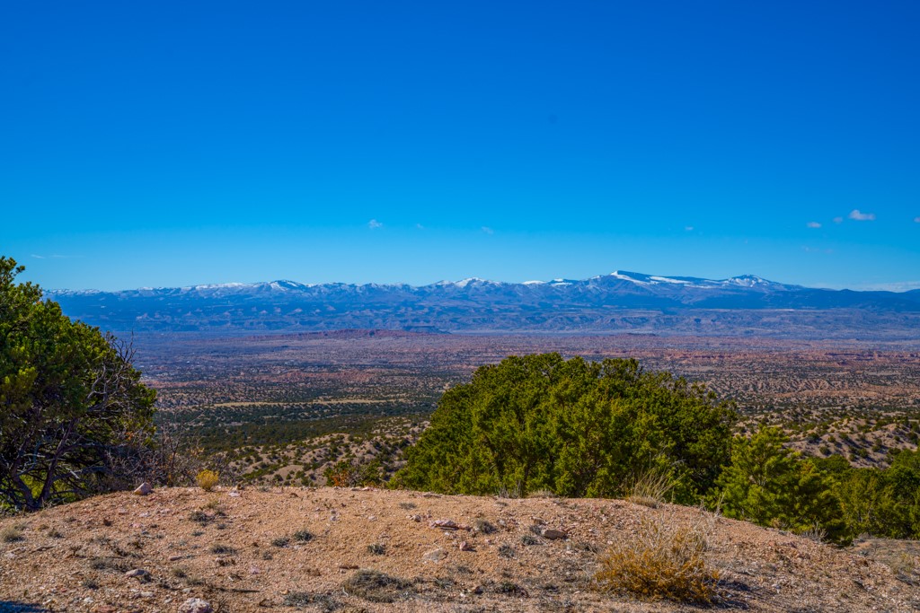 High-desert land with juniper trees and a distant snow-capped mountain range.