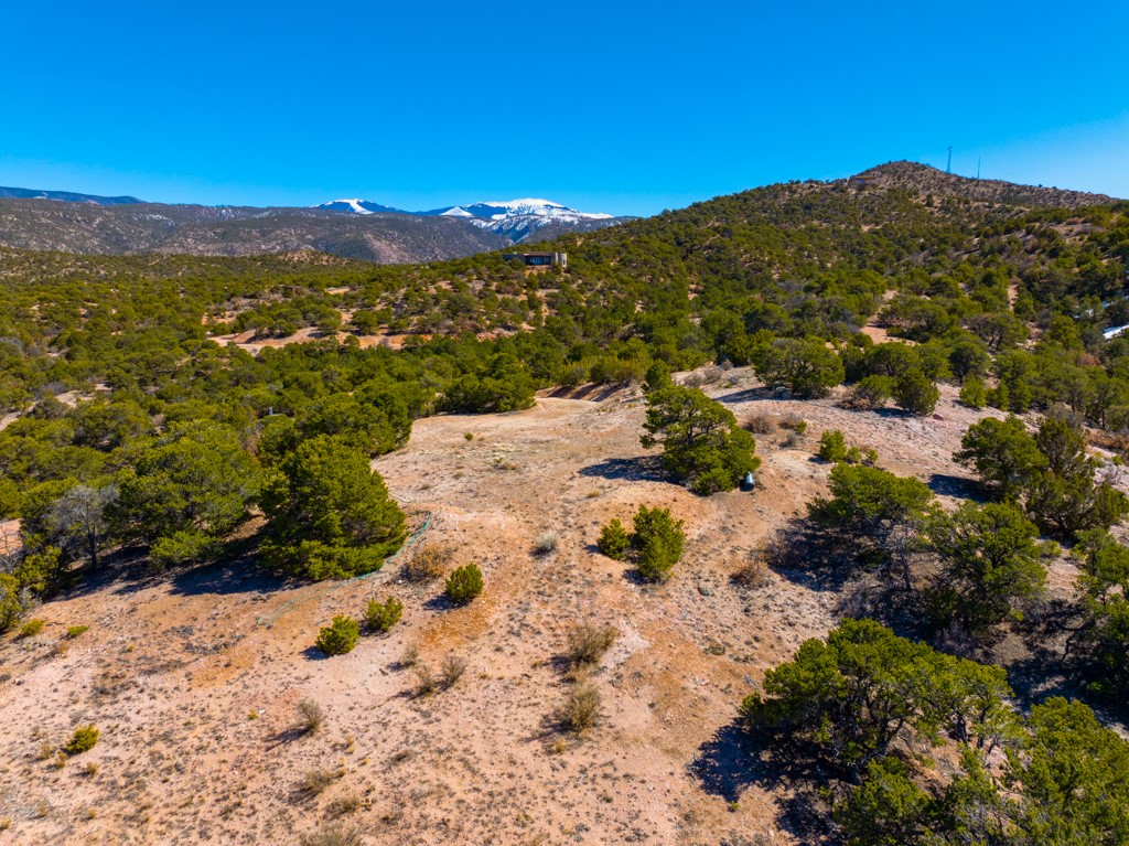 Aerial view of a wooded hillside lot with an open clearing and distant snowcapped mountains.
