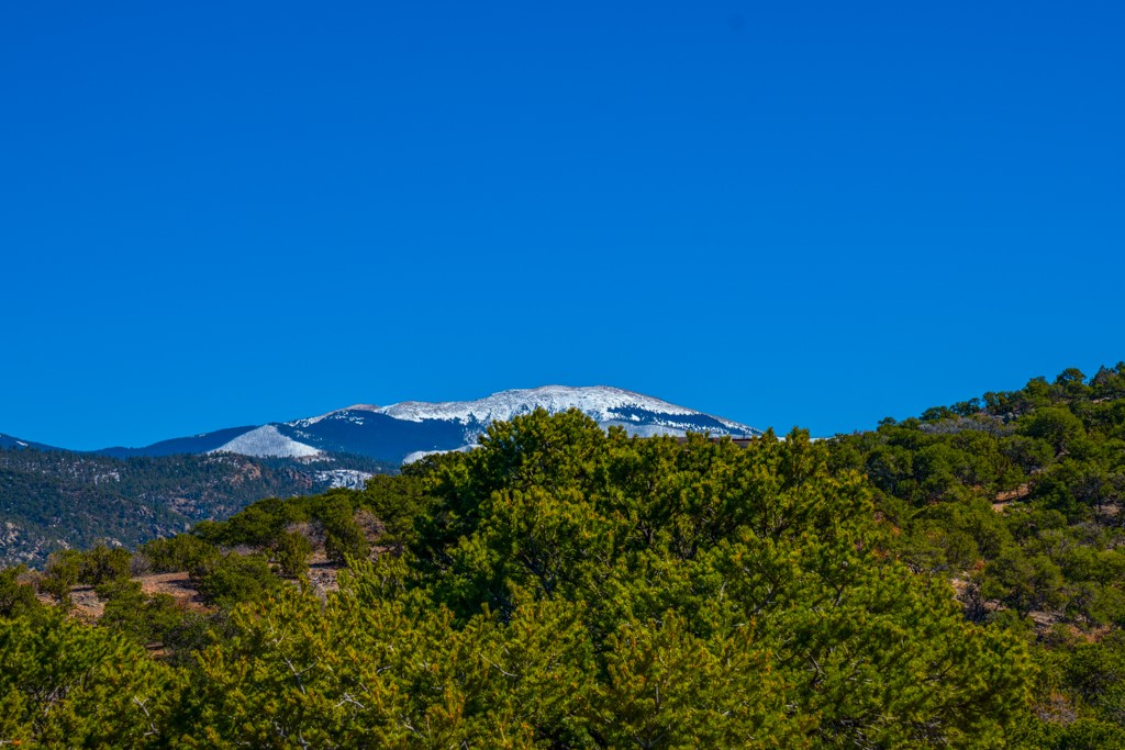 Forested hills and a snow-dusted mountain ridge beneath a clear blue sky.