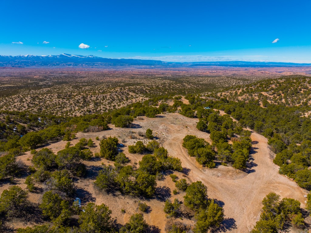 Aerial view of three open lots amid scattered trees, with distant mountain ranges.