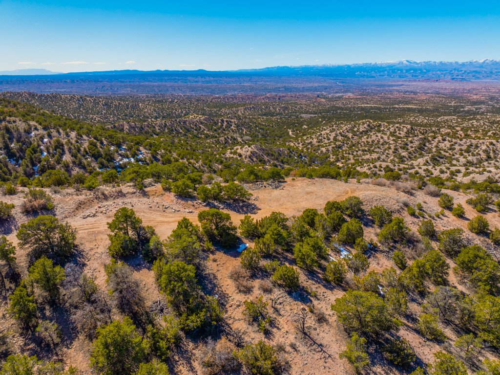 Aerial view of rugged, tree-covered vacant land with a clearing and distant mountains.
