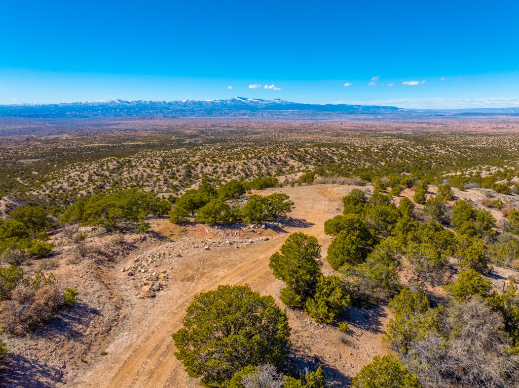 Aerial view of open, tree-dotted land with a dirt track and distant mountains.
