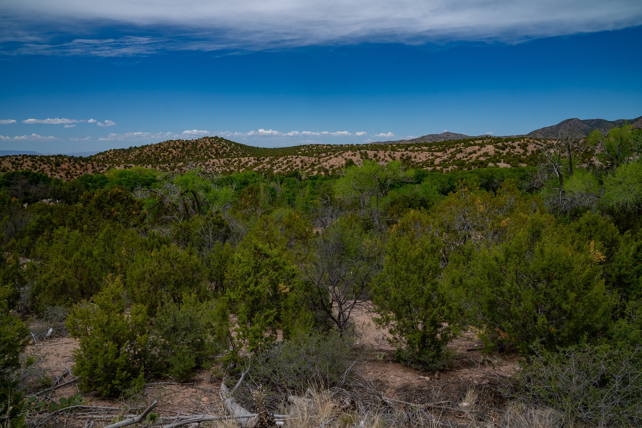 Wooded undeveloped land with rolling hills and distant mountains.