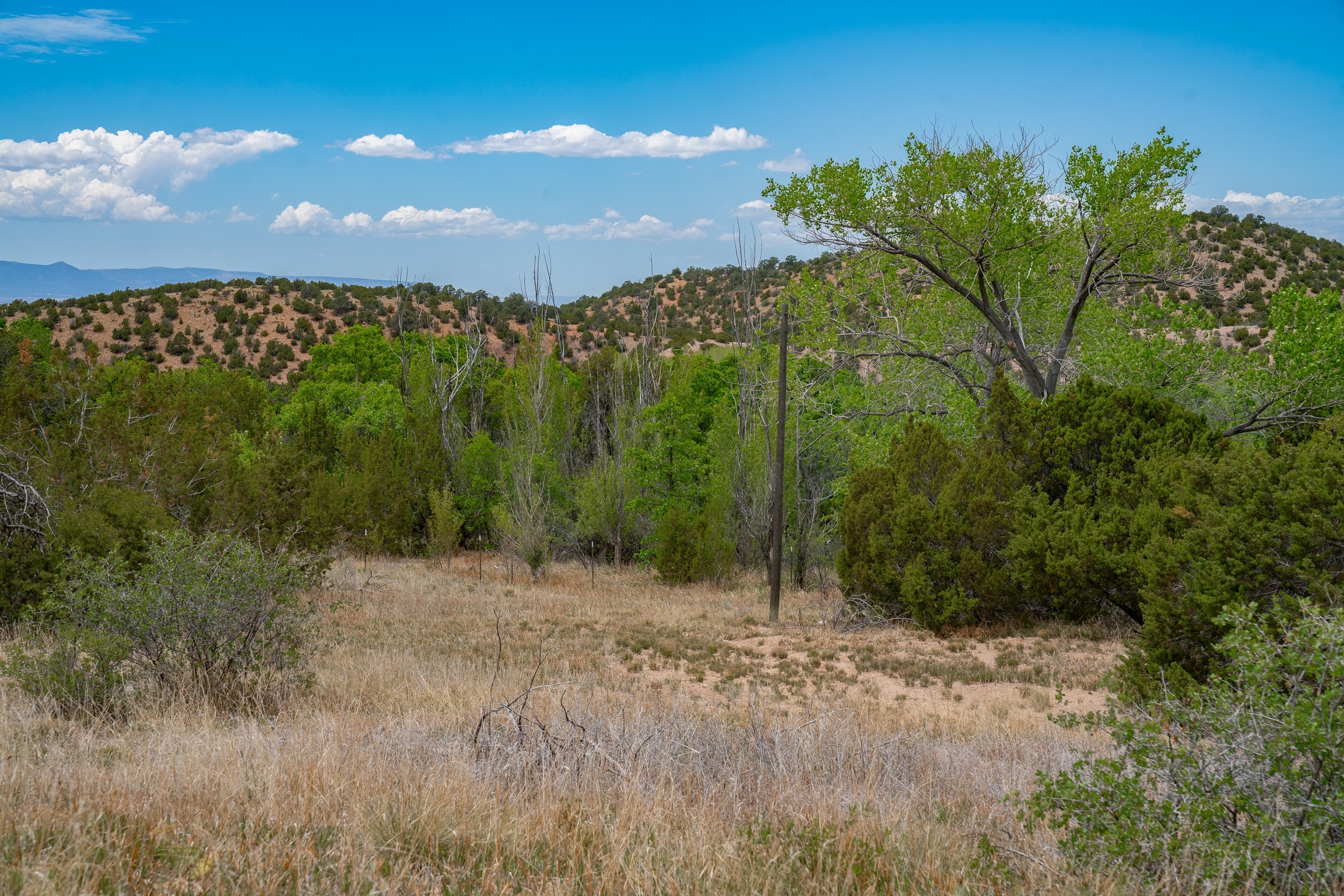 Grassy vacant lot with trees, rolling hills, and distant mountains under a blue sky.