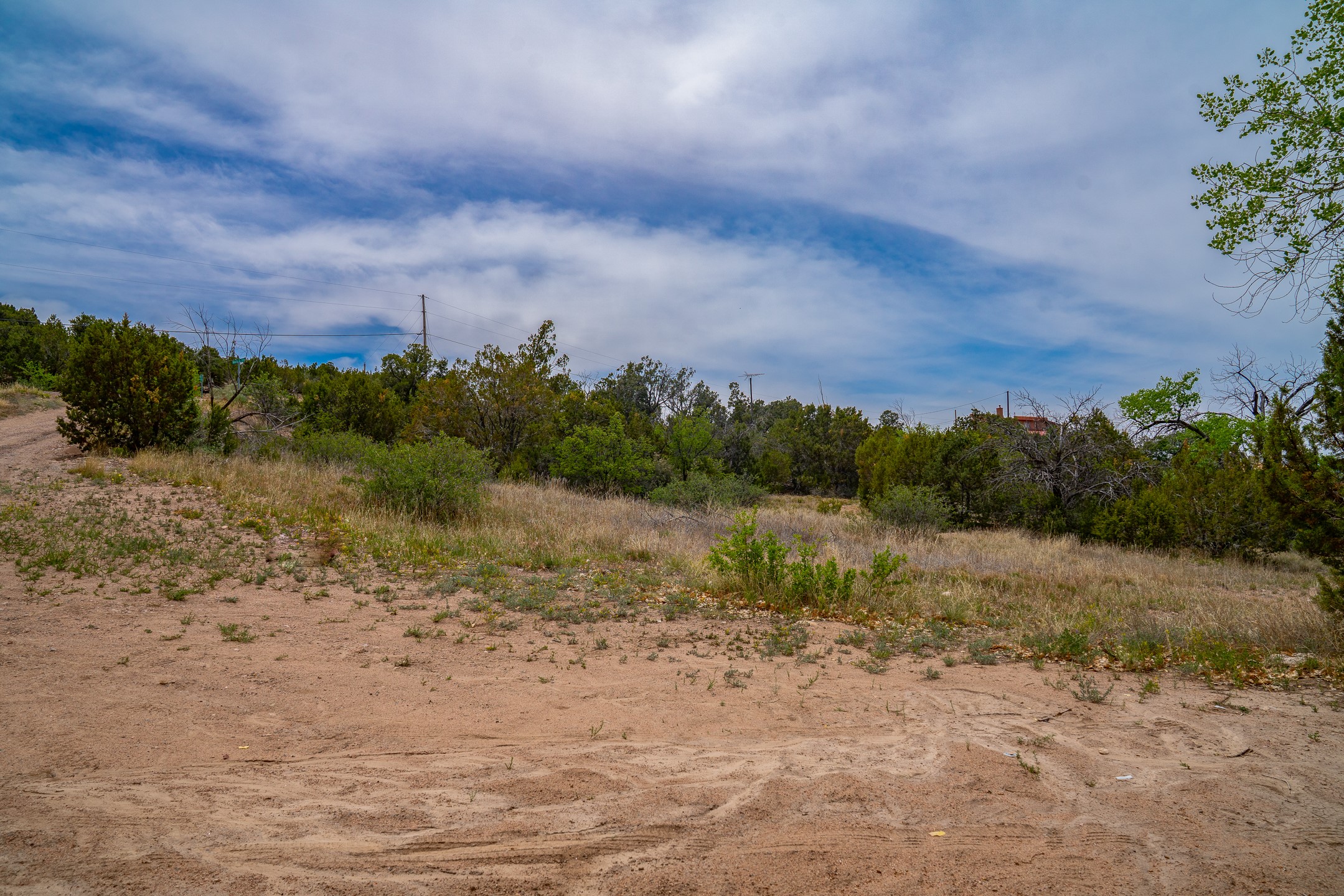Sandy clearing bordered by scrub and trees, with utility lines and a distant rooftop.