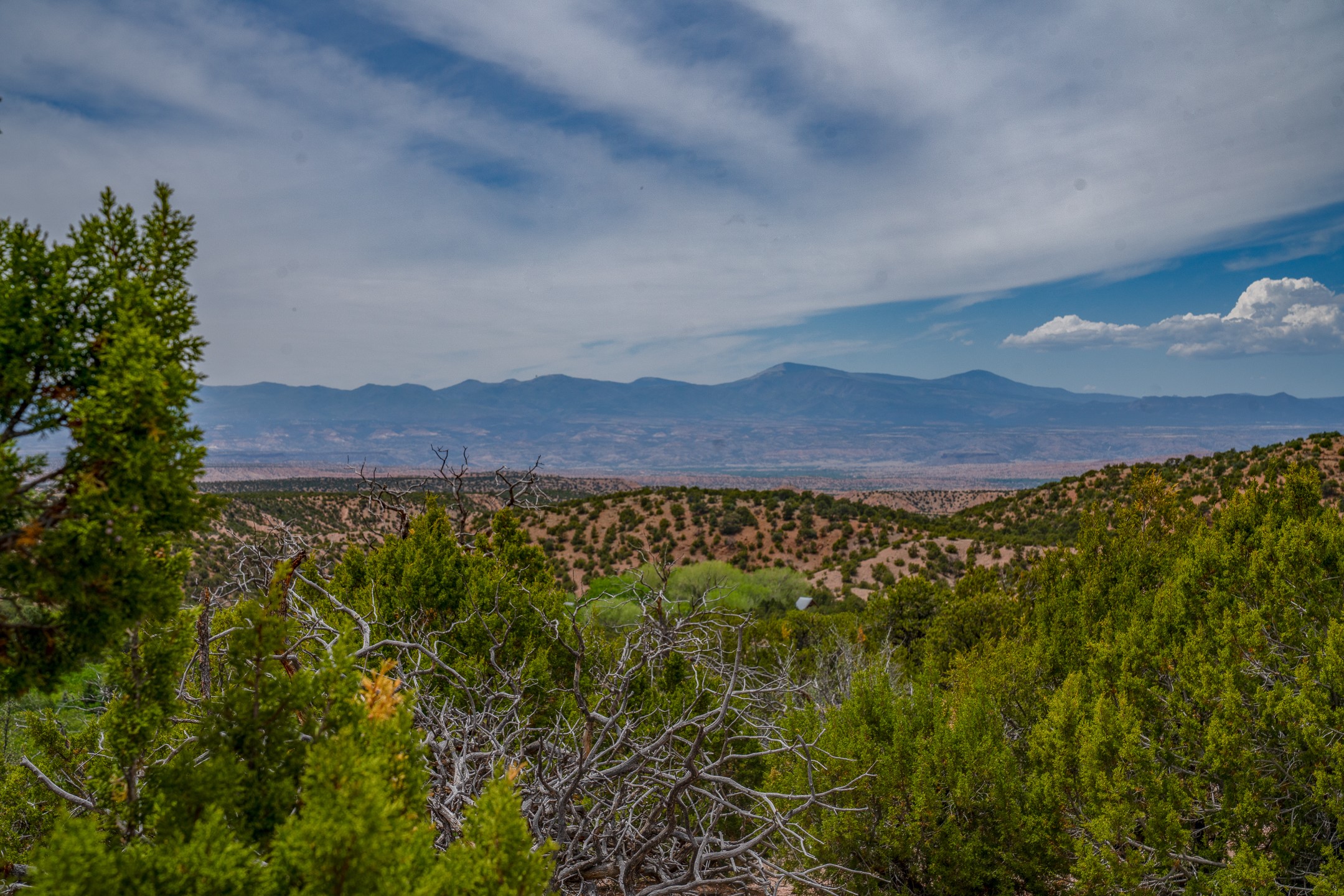 Mountain range beyond rolling shrub-covered hills, framed by green trees and bare branches.