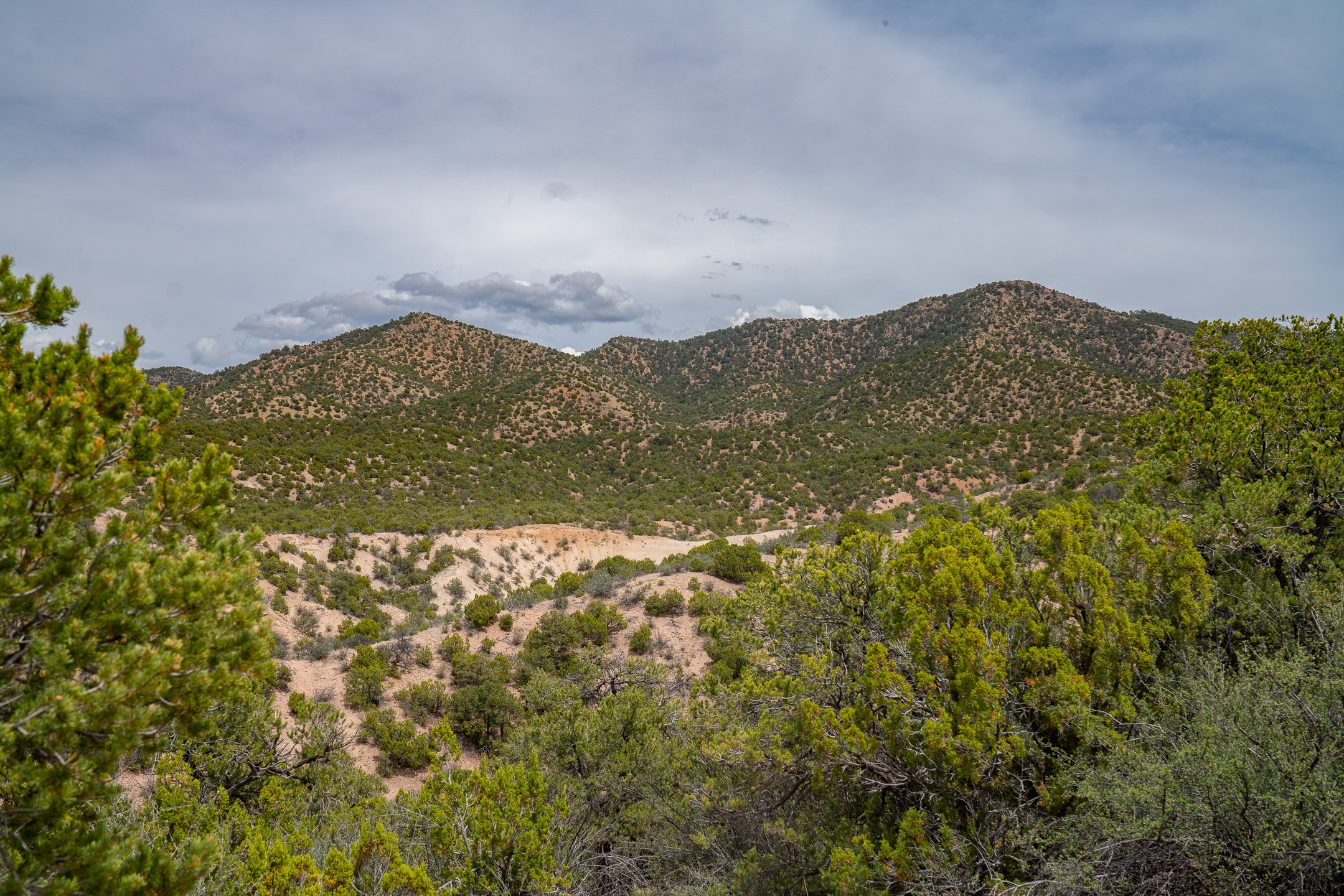 Scrub-covered hills and sandy terrain with evergreen trees in the foreground.