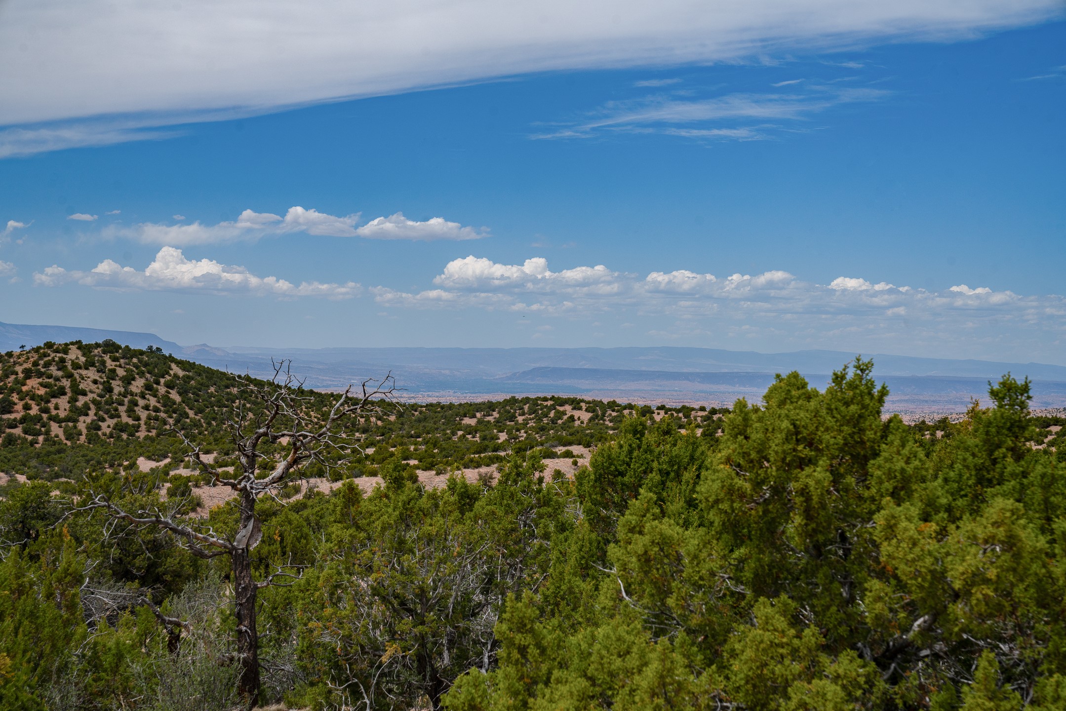 Panoramic mountain and valley view beyond a juniper-covered hillside.