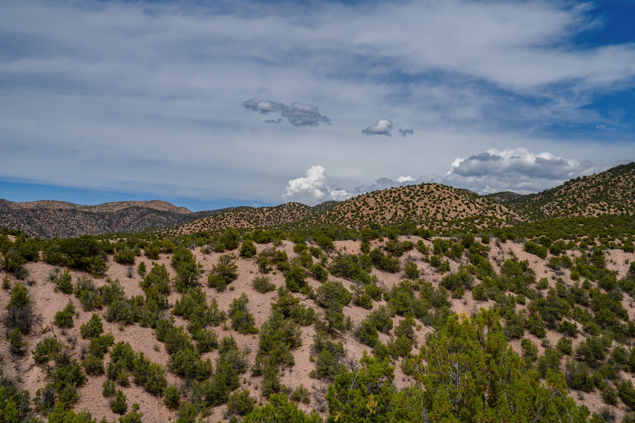Open scrubland with scattered shrubs and rolling mountain ridges beneath a cloudy blue sky.