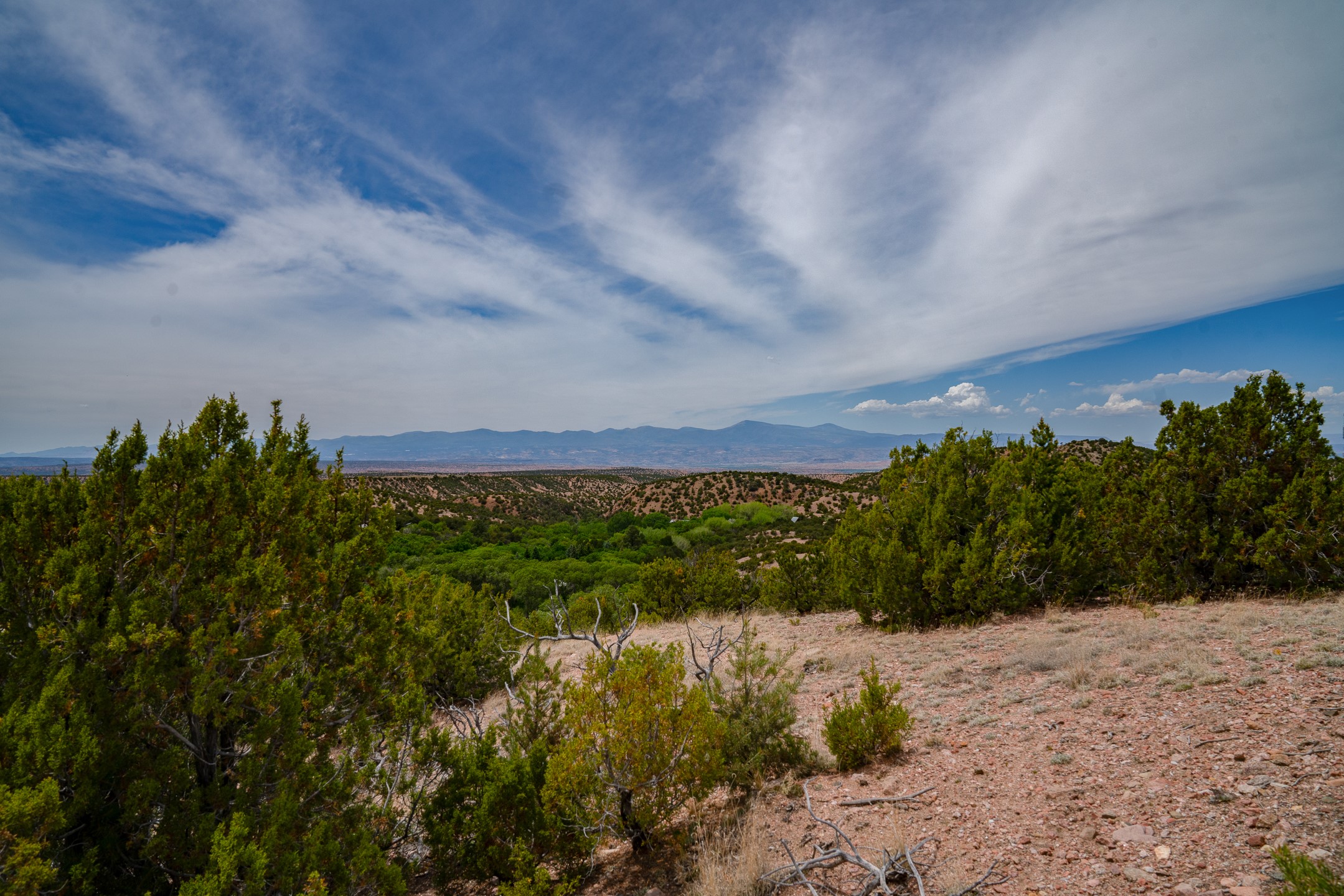 Open land with a broad mountain view beyond juniper-covered hills.