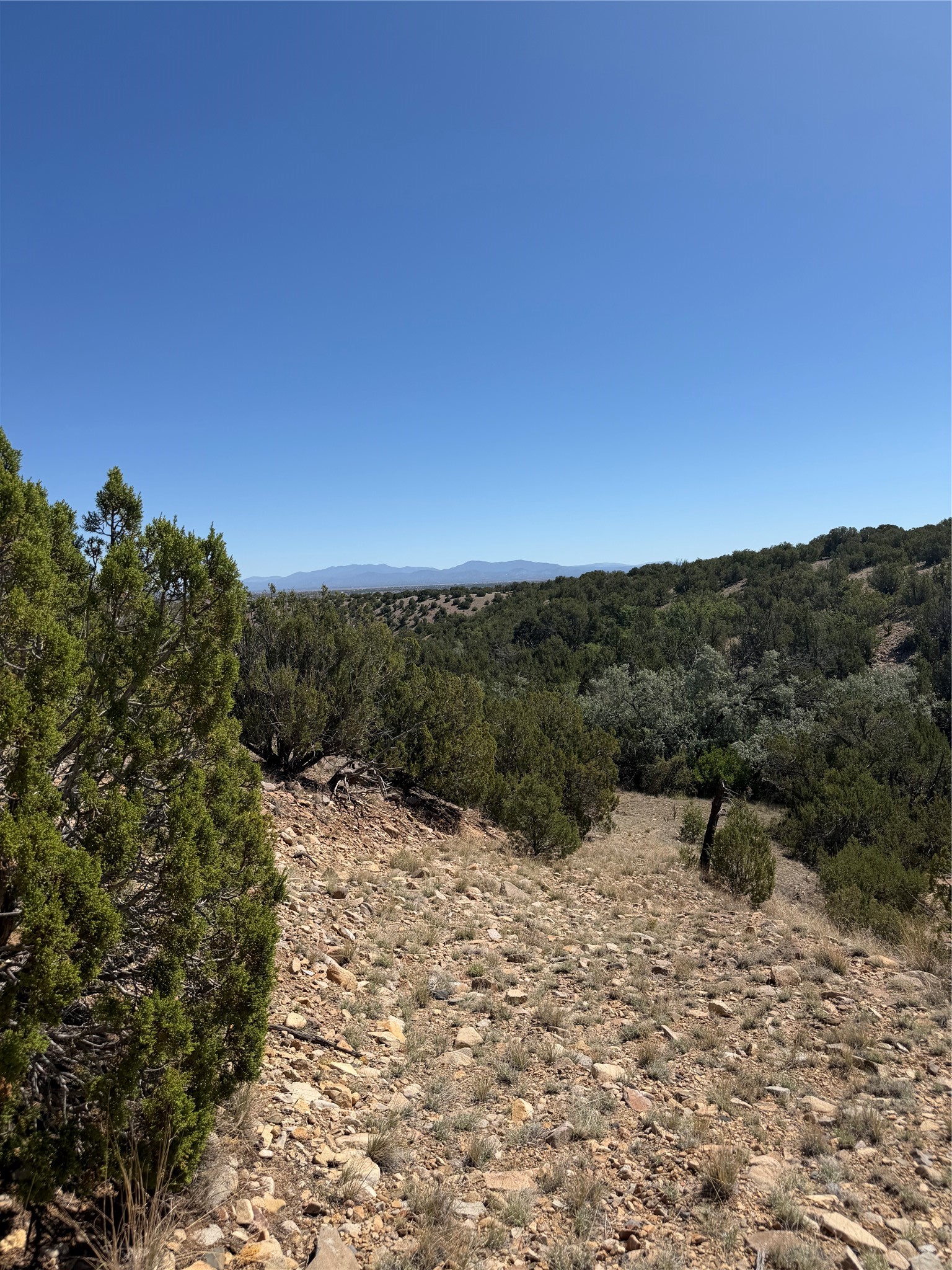 Rocky hillside lot with juniper trees, rolling wooded hills, and distant mountain views.