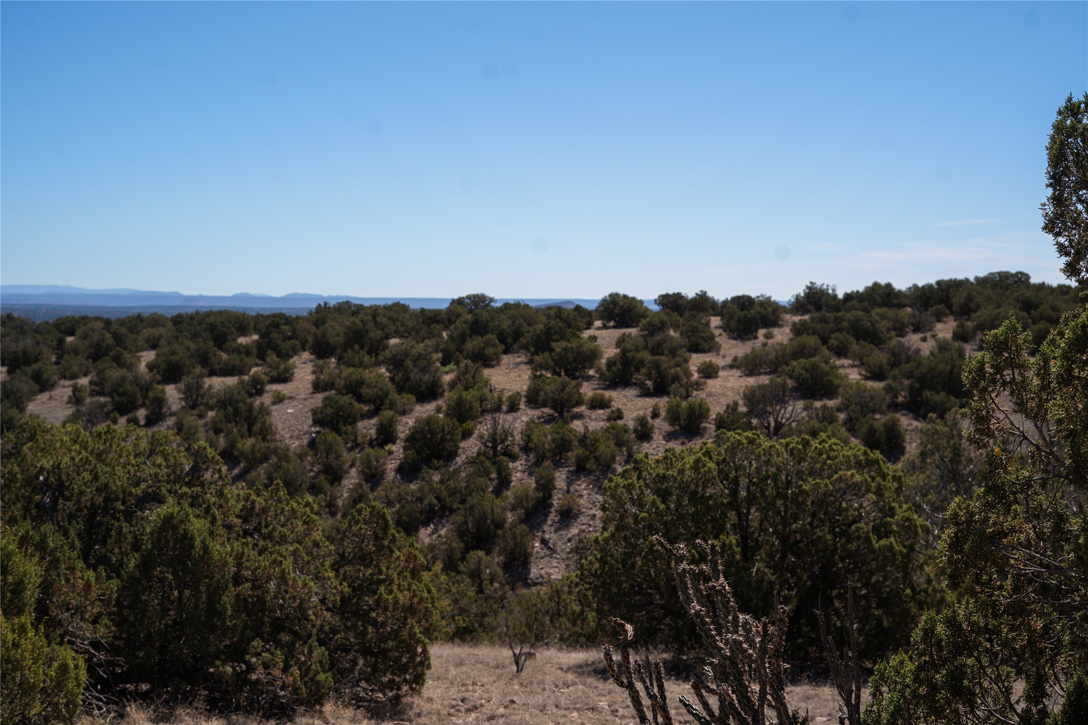 Shrub-covered rural land with distant mountain ridges beneath a clear blue sky.