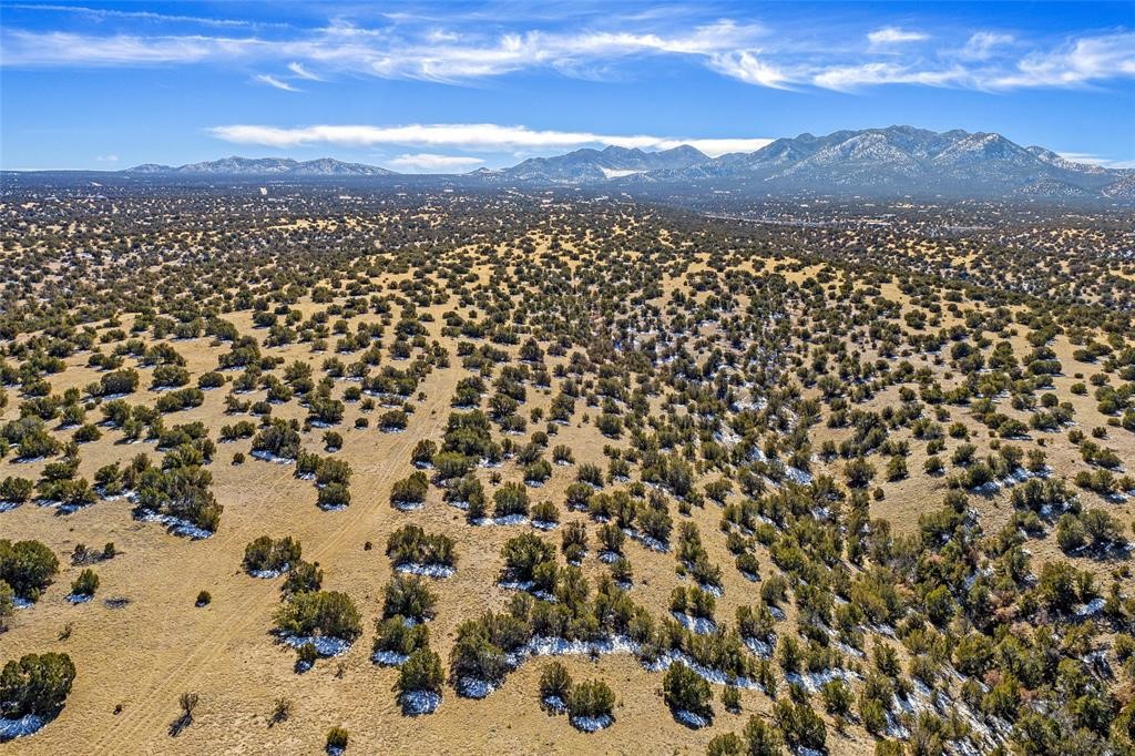 Aerial view of shrub-covered land with scattered snow and mountains in the distance.