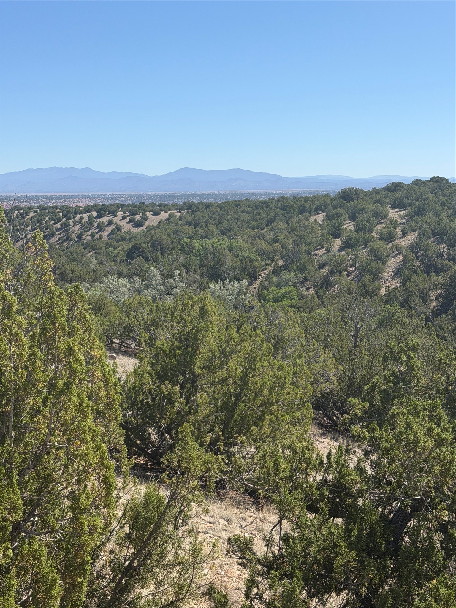 Wooded hillside overlooking a distant valley and mountain range.