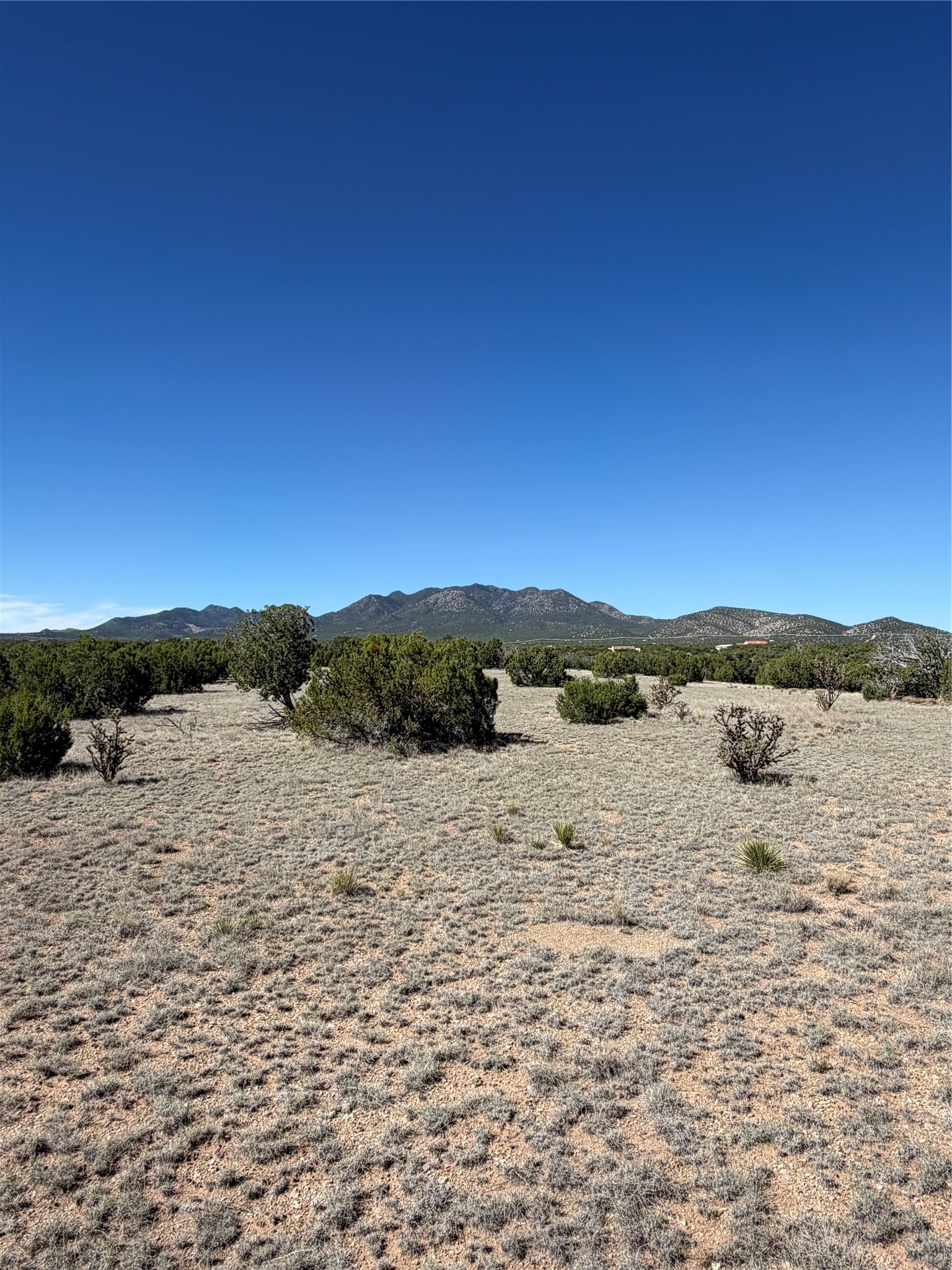 Open high-desert lot with scattered shrubs and a rocky mountain range in the distance.