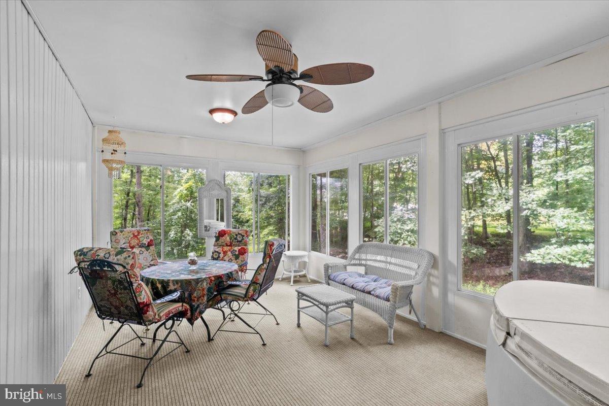 125 TALON DRIVE