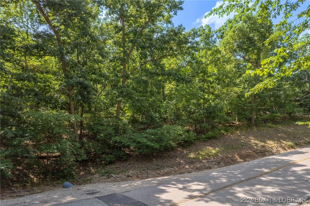 Lot 57 Country Club Drive
