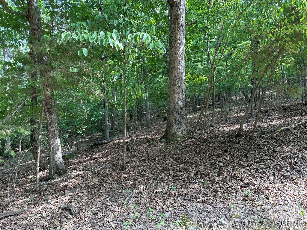 Lot 947 Tulsa Court