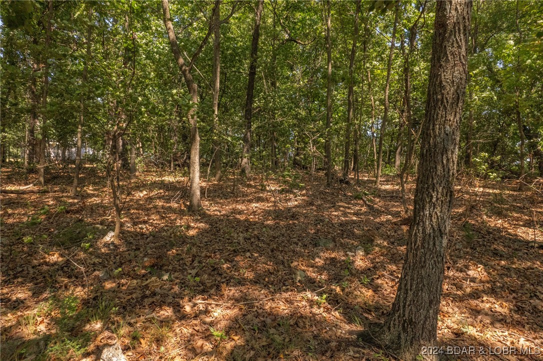 Lot 9 Gull Road