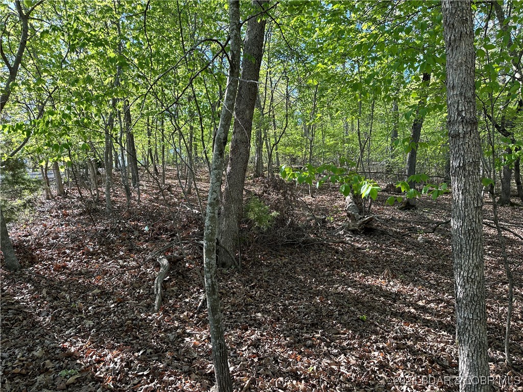 Lot 325 Austin Circle