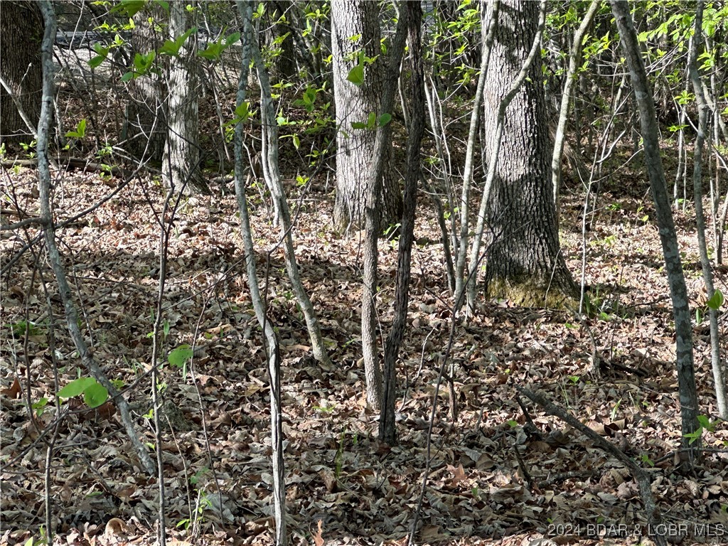 Lot 325 Austin Circle