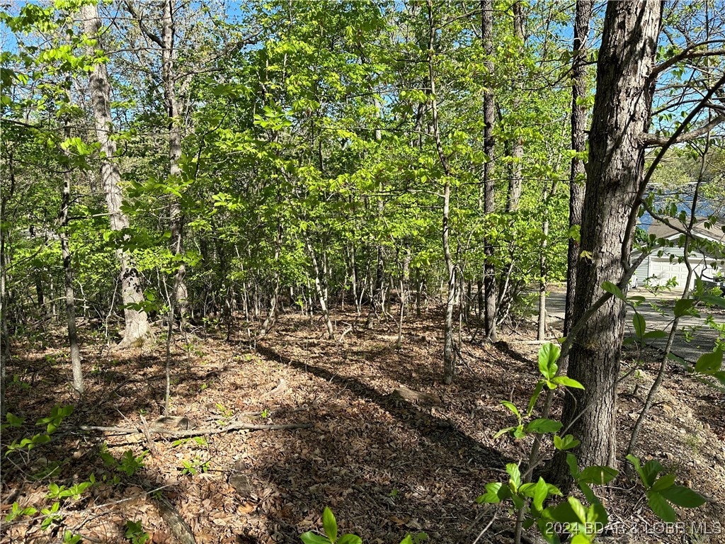 Lot 325 Austin Circle