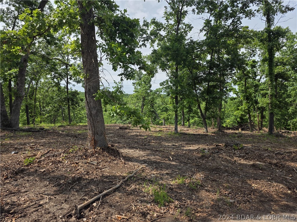 Lot 2 Oddo Drive