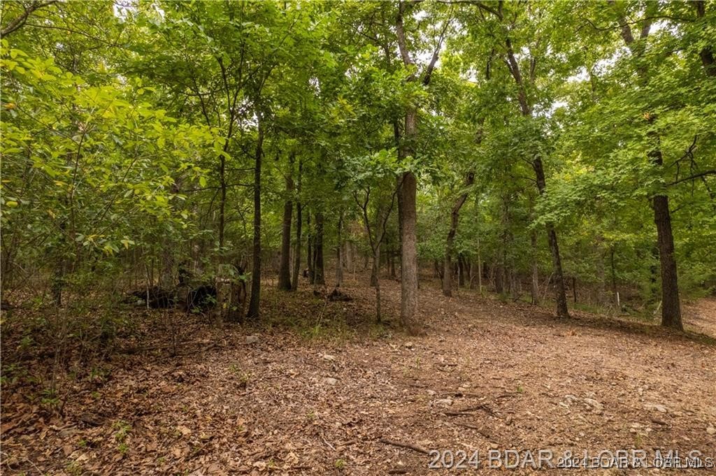 Lot 24 Cape Wood Drive