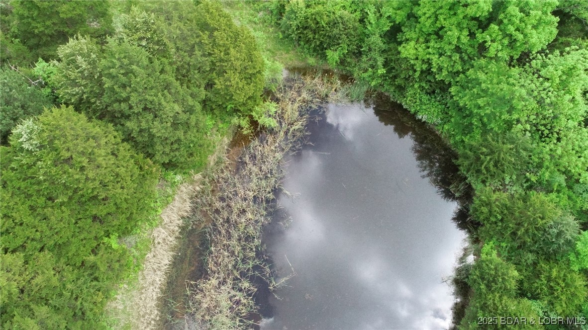 TBD Brushy Branch Cut-Off Road