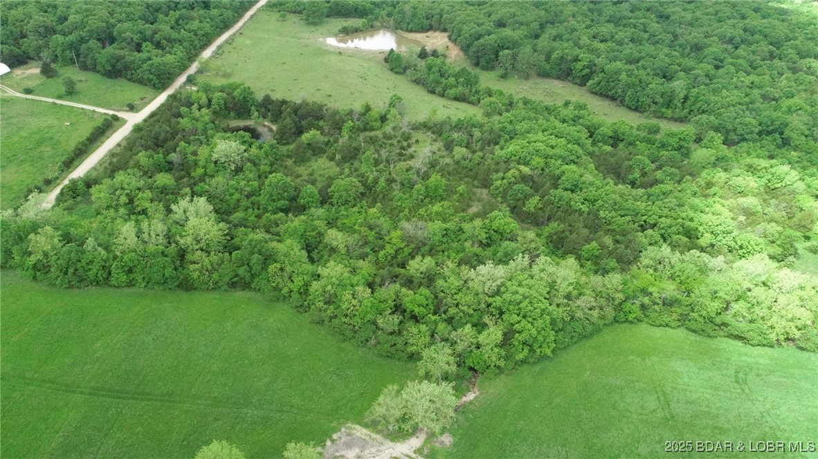 TBD Brushy Branch Cut-Off Road