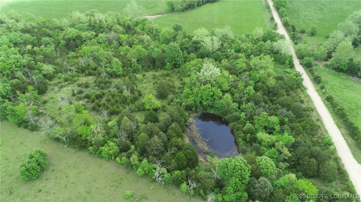 TBD Brushy Branch Cut-Off Road