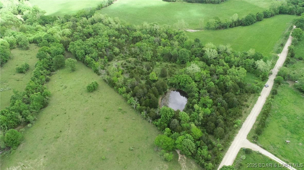 TBD Brushy Branch Cut-Off Road
