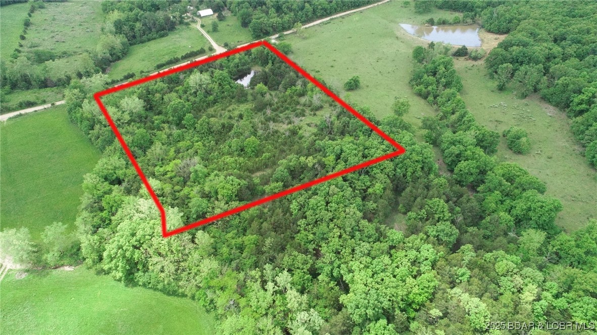 TBD Brushy Branch Cut-Off Road