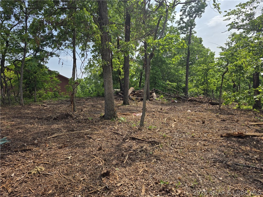 Lot 1 Oddo Drive
