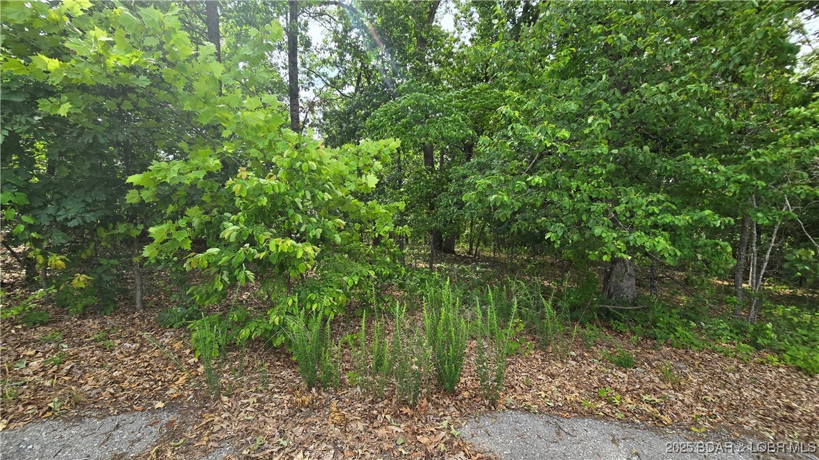 Lot 1 Oddo Drive