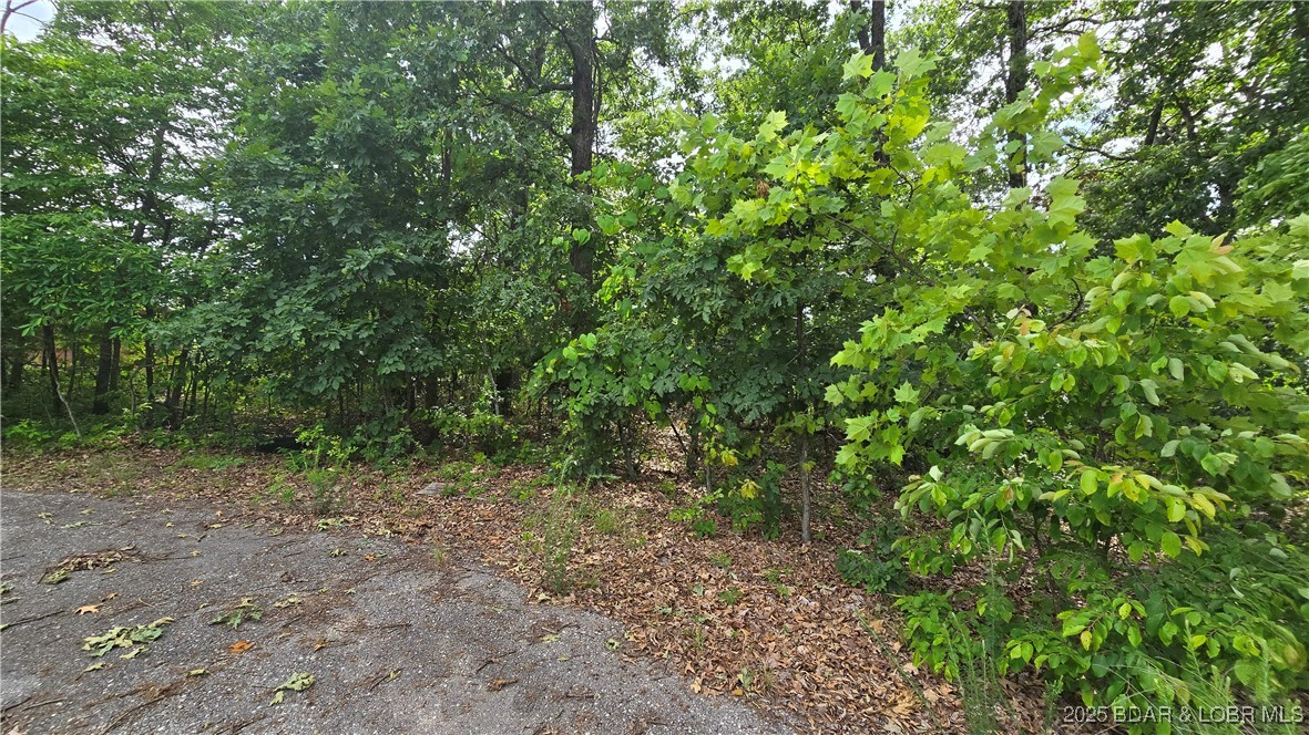 Lot 1 Oddo Drive