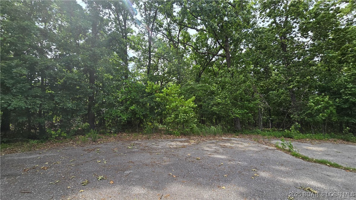 Lot 1 Oddo Drive