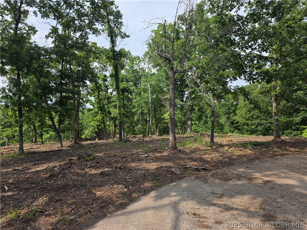 Lot 1 Oddo Drive