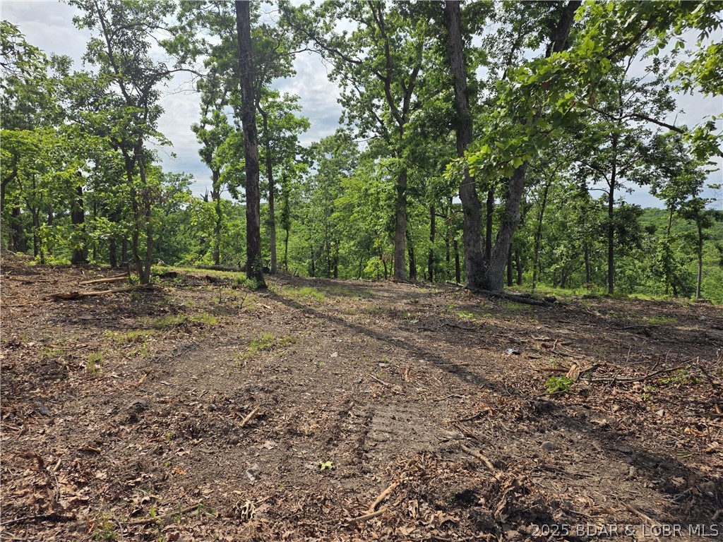 Lot 1 Oddo Drive