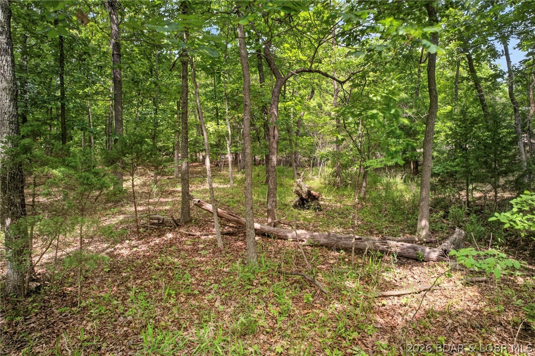 Lot 1210 Spring Creek Court
