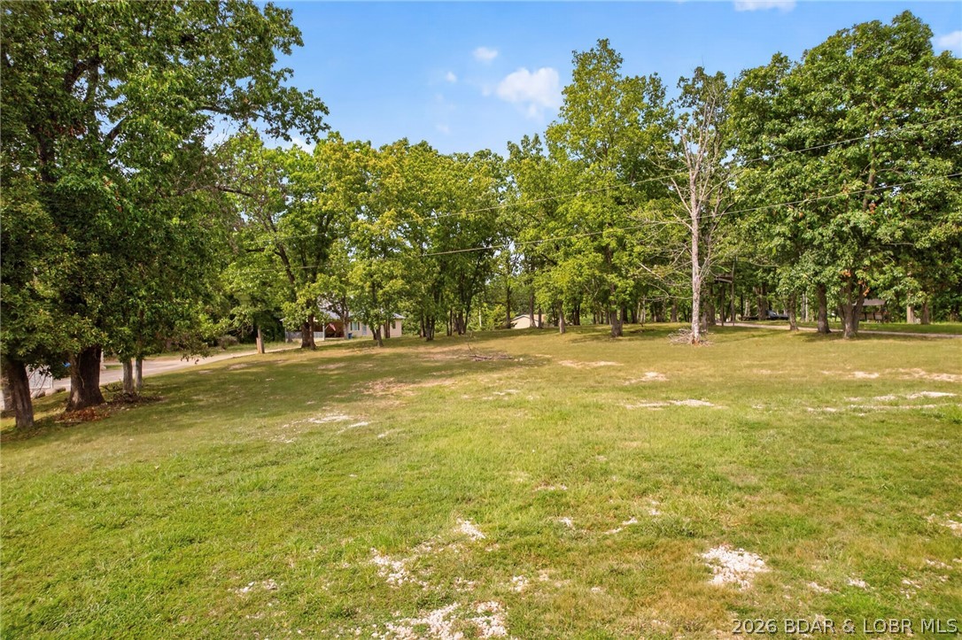 17 Aschoff Road