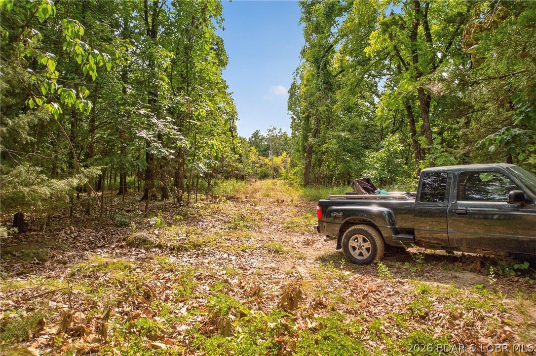 17 Aschoff Road
