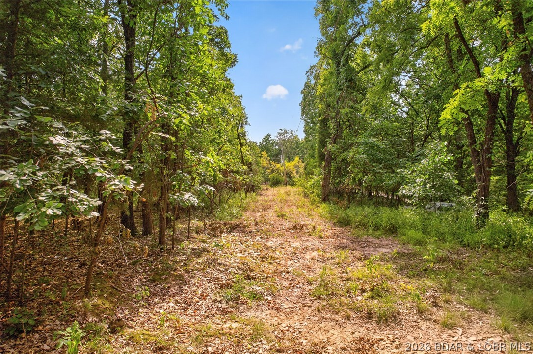 17 Aschoff Road