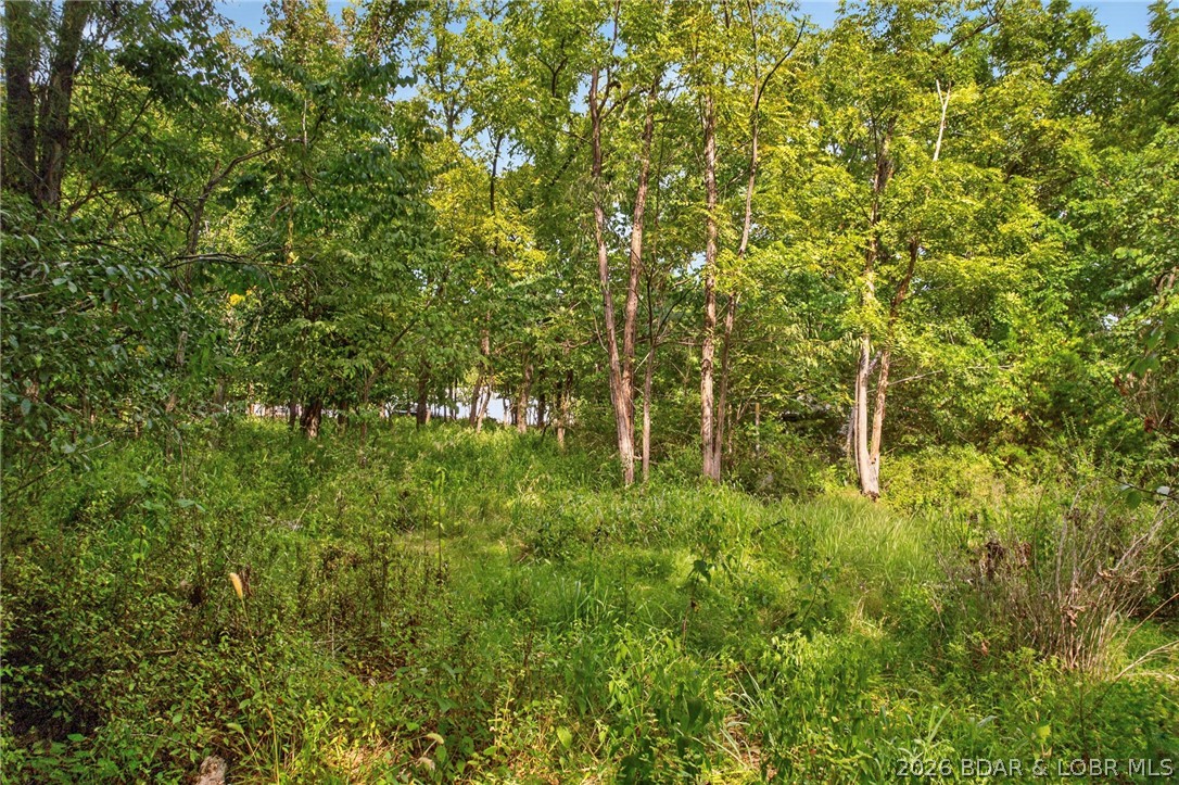 17 Aschoff Road
