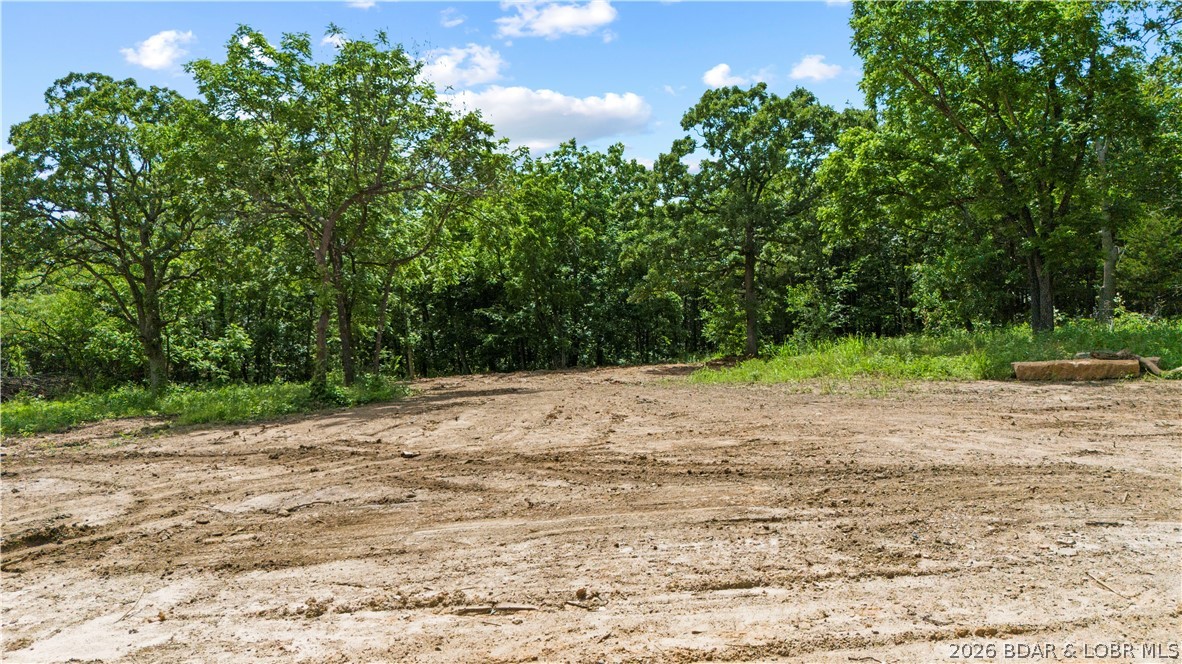 Tract 2 Whitetail Lane